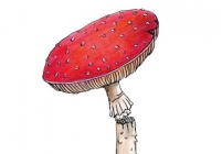 Tekening van een paddenstoel